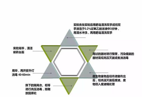 實業(yè)運營與建設(shè) 現(xiàn)代經(jīng)濟發(fā)展的核心驅(qū)動力